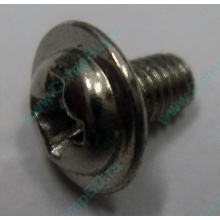 Компьютерный винт "малый" PW-M3x6mm (Пятигорск)