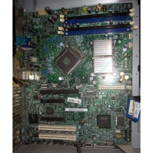 Материнская плата Intel Server Board S3200SH s.775 (Пятигорск)