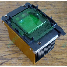 Радиатор HP p/n 279680-001 (socket 603/604) - Пятигорск