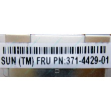 Серверная память SUN (FRU PN 371-4429-01) 4096Mb (4Gb) DDR3 ECC в Пятигорске, память для сервера SUN FRU P/N 371-4429-01 (Пятигорск)