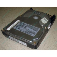 Жесткий диск 18.4Gb Quantum Atlas 10K III U160 SCSI (Пятигорск)
