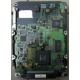 Жесткий диск 18.4Gb Quantum Atlas 10K III U160 SCSI (Пятигорск)