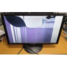 ViewSonic VA2413WM-2 разбитая матрица (Пятигорск)