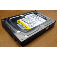 Жесткий диск 160Gb WD WD1602ABKS SATA (Пятигорск)