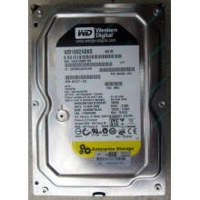 Жесткий диск 160Gb WD WD1602ABKS SATA (Пятигорск)