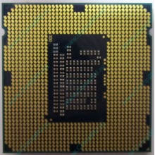 Процессор Intel Celeron G1620 (2x2.7GHz /L3 2048kb) SR10L s.1155 (Пятигорск)