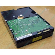 Б/У жёсткий диск 400Gb WD WD4000YR Caviar RE2 7200 rpm SATA  (Пятигорск)