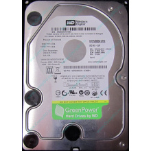 Б/У жёсткий диск 500Gb Western Digital WD5000AVVS (WD AV-GP 500 GB) 5400 rpm SATA (Пятигорск)