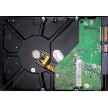 Б/У жёсткий диск 500Gb Western Digital WD5000AVVS (WD AV-GP 500 GB) 5400 rpm SATA (Пятигорск)