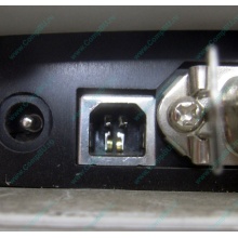 Термопринтер Zebra TLP 2844 (выломан USB разъём в Пятигорске, COM и LPT на месте; без БП!) - Пятигорск