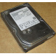 HDD 500Gb Hitachi HDS721050DLE630 донор на запчасти (Пятигорск)