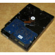 Электроника HDD 500Gb Hitachi HDS721050DLE630 (Пятигорск)