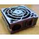 HP 224977 (224978-001) for Proliant ML370 G2/G3/G4 (Пятигорск).