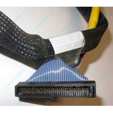 Кабель SCSI HP 166298-037 для HP ML370 G4 (Пятигорск)