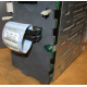 HP 365664-001 кабель SCSI для корзины 373108-001 / 359719-001 HP ML370G4 (Пятигорск)