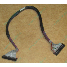 FDD-кабель HP 271946-006 для ML370 (Пятигорск)