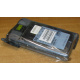 Жесткий диск HP 356910-008 404708-001 146.8Gb ATLAS 10K BD146BA4B5 (Пятигорск)