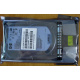 HDD 146.8Gb HP 360205-022 404708-001 404670-002 (Пятигорск)