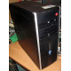 БУ компьютер HP Compaq Elite 8300 (Intel Core i3-3220 (2x3.3GHz HT) /4Gb /250Gb /ATX 320W) - Пятигорск