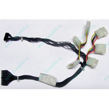 59P4789 FRU 59P4792 в Пятигорске, кабель IBM 59P4789 FRU 59P4792 для серверов X225 (Пятигорск)
