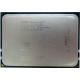AMD Opteron 6128 OS6128WKT8EGO (Пятигорск)