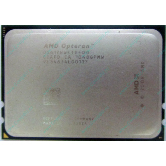 AMD Opteron 6128 OS6128WKT8EGO (Пятигорск)