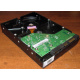 Жесткий диск 500Gb HP 634605-003 613208-001 WD WD5000AAKX 7.2k SATA (Пятигорск)