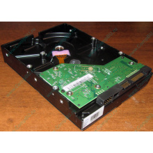 Жесткий диск 500Gb WD WD5000AAKX HP 634605-003 613208-001 7.2k SATA (Пятигорск)
