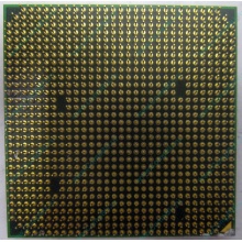 Процессор AMD Athlon 64300+ (1.8GHz) ADA3000IAA4CN s.AM2 (Пятигорск)