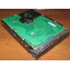 Жесткий диск 300Gb 15k Seagate Cheetach ST3300656SS 15K.6 Dell 9CH066-050 6G SAS (Пятигорск)