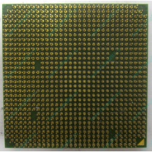 Процессор AMD Sempron 3000+ (1.6GHz) SDA3000IAA3CN s.AM2 (Пятигорск)