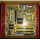 Материнская плата Asus P5L-VM 1394 s.775 (Пятигорск)